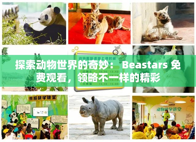 探索動(dòng)物世界的奇妙： Beastars 免費(fèi)觀看，領(lǐng)略不一樣的精彩