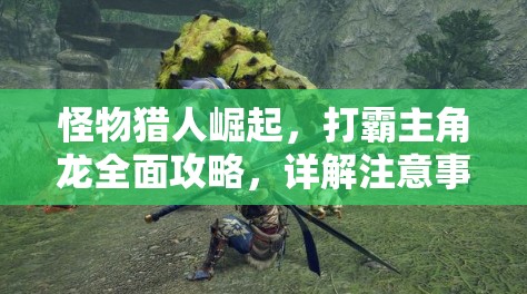 怪物獵人崛起，打霸主角龍全面攻略，詳解注意事項在資源管理中的關(guān)鍵作用