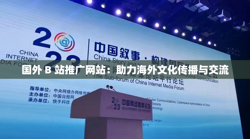 國外 B 站推廣網(wǎng)站：助力海外文化傳播與交流