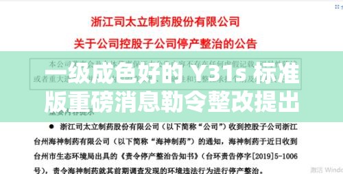一級(jí)成色好的 Y31s 標(biāo)準(zhǔn)版重磅消息勒令整改提出：后續(xù)影響及應(yīng)對(duì)措施探討