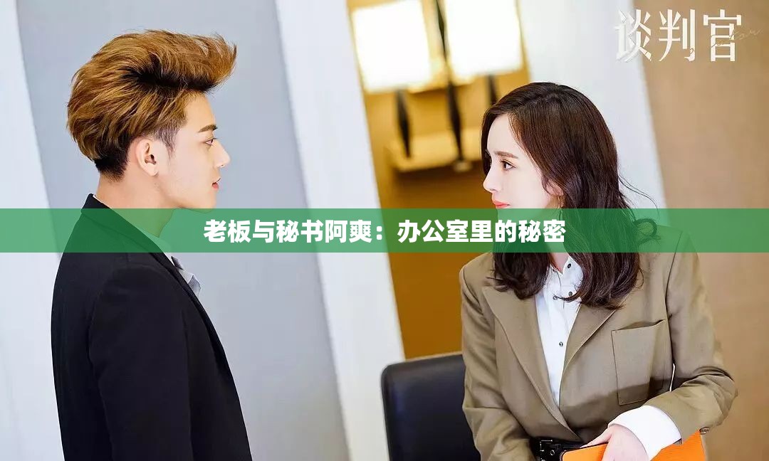 老板與秘書阿爽：辦公室里的秘密