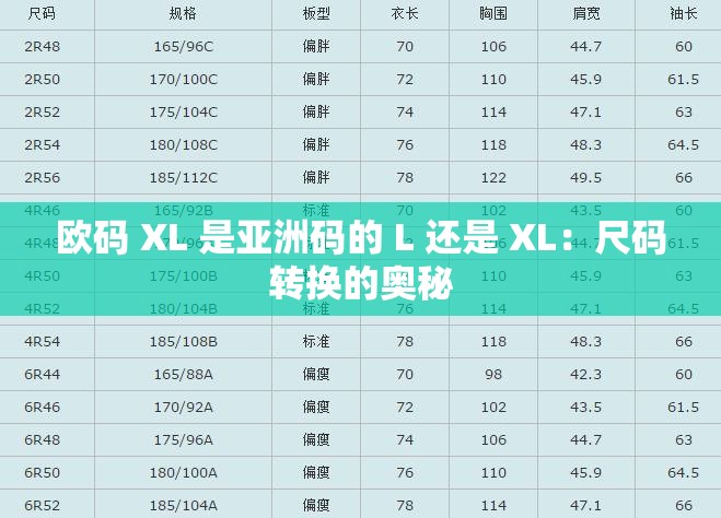 歐碼 XL 是亞洲碼的 L 還是 XL：尺碼轉(zhuǎn)換的奧秘