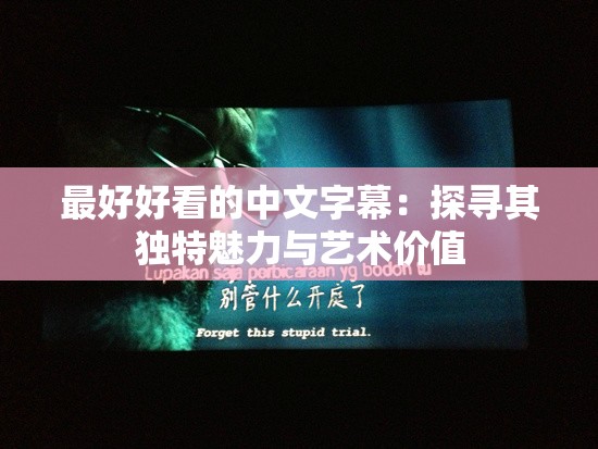 最好好看的中文字幕：探尋其獨特魅力與藝術(shù)價值