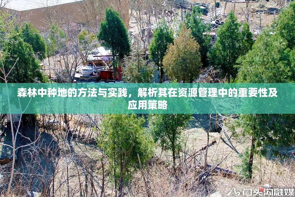 森林中種地的方法與實踐，解析其在資源管理中的重要性及應(yīng)用策略