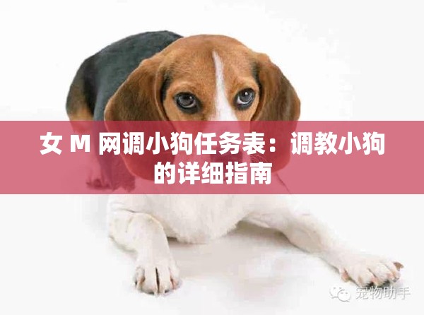 女 M 網(wǎng)調(diào)小狗任務(wù)表：調(diào)教小狗的詳細(xì)指南