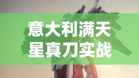 意大利滿天星真刀實(shí)戰(zhàn)：精彩絕倫的格斗對決