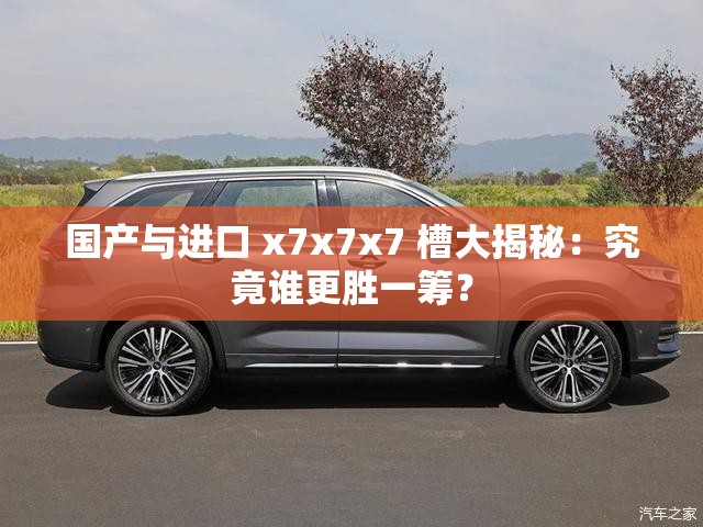 國產(chǎn)與進(jìn)口 x7x7x7 槽大揭秘：究竟誰更勝一籌？