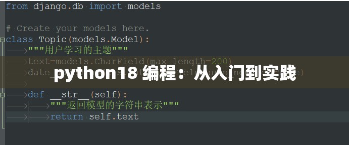 python18 編程：從入門到實踐