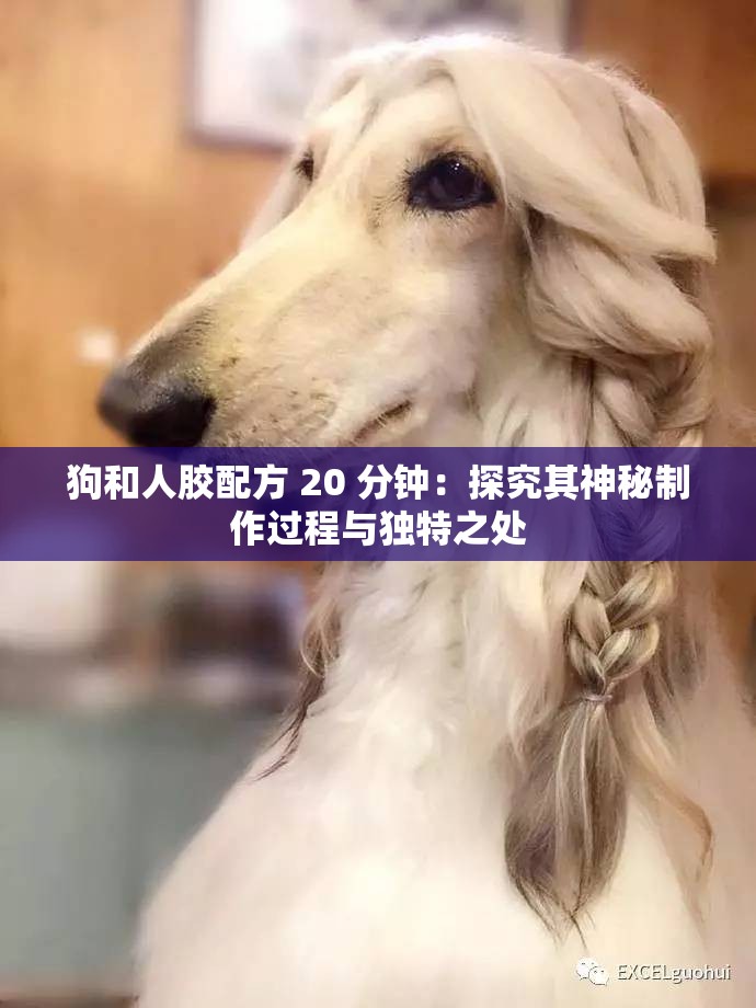 狗和人膠配方 20 分鐘：探究其神秘制作過(guò)程與獨(dú)特之處