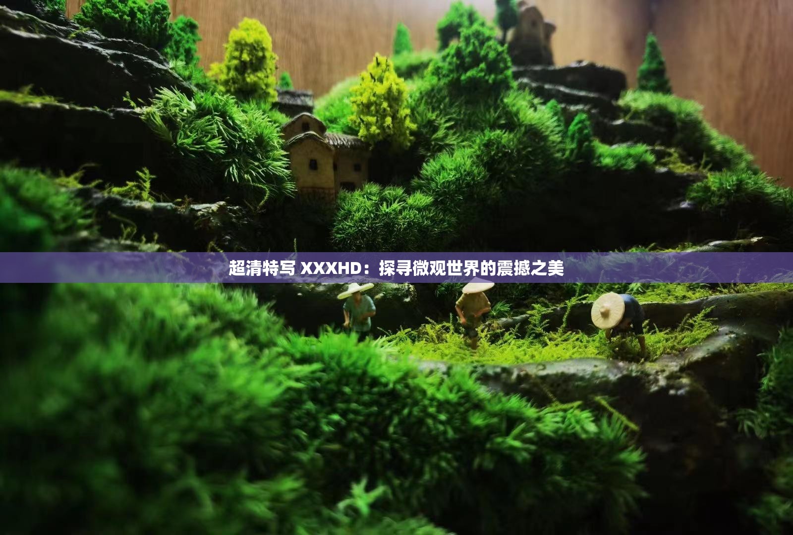 超清特寫 XXXHD：探尋微觀世界的震撼之美