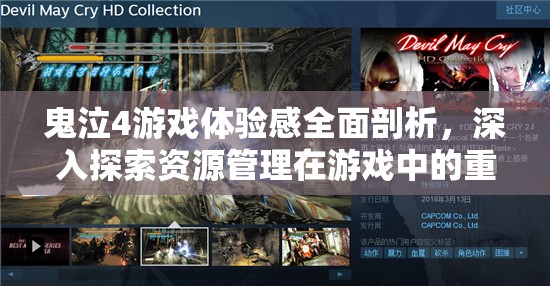 鬼泣4游戲體驗感全面剖析，深入探索資源管理在游戲中的重要性