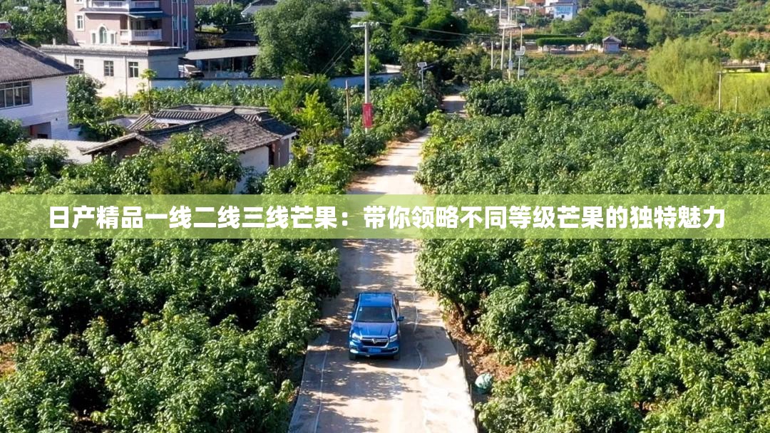 日產(chǎn)精品一線二線三線芒果：帶你領(lǐng)略不同等級(jí)芒果的獨(dú)特魅力