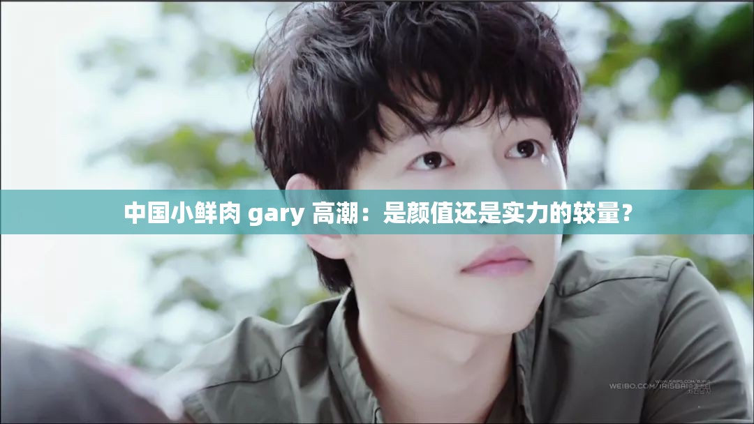 中國(guó)小鮮肉 gary 高潮：是顏值還是實(shí)力的較量？