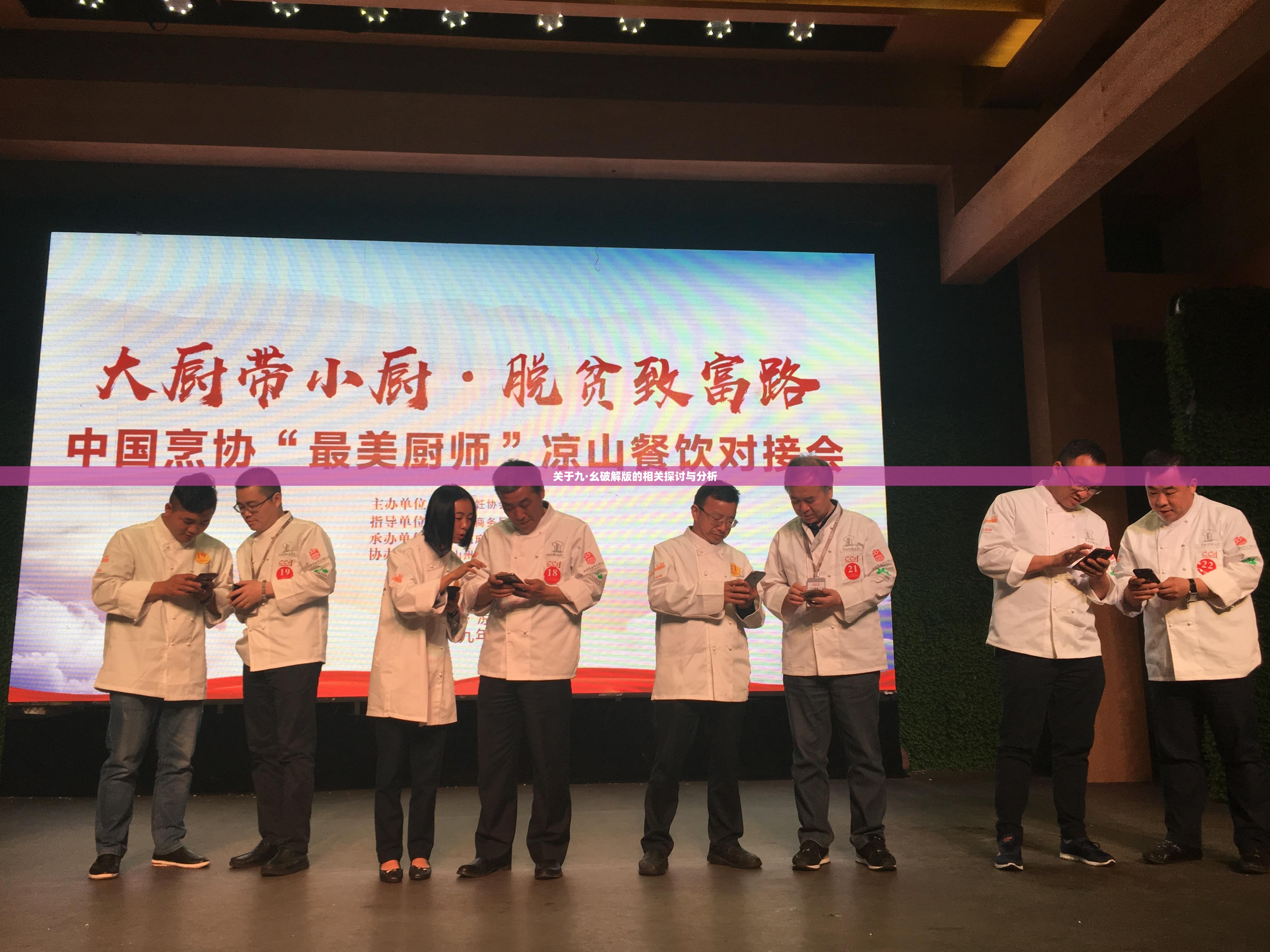 關(guān)于九·幺破解版的相關(guān)探討與分析