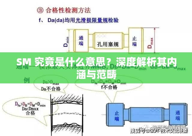 SM 究竟是什么意思？深度解析其內涵與范疇