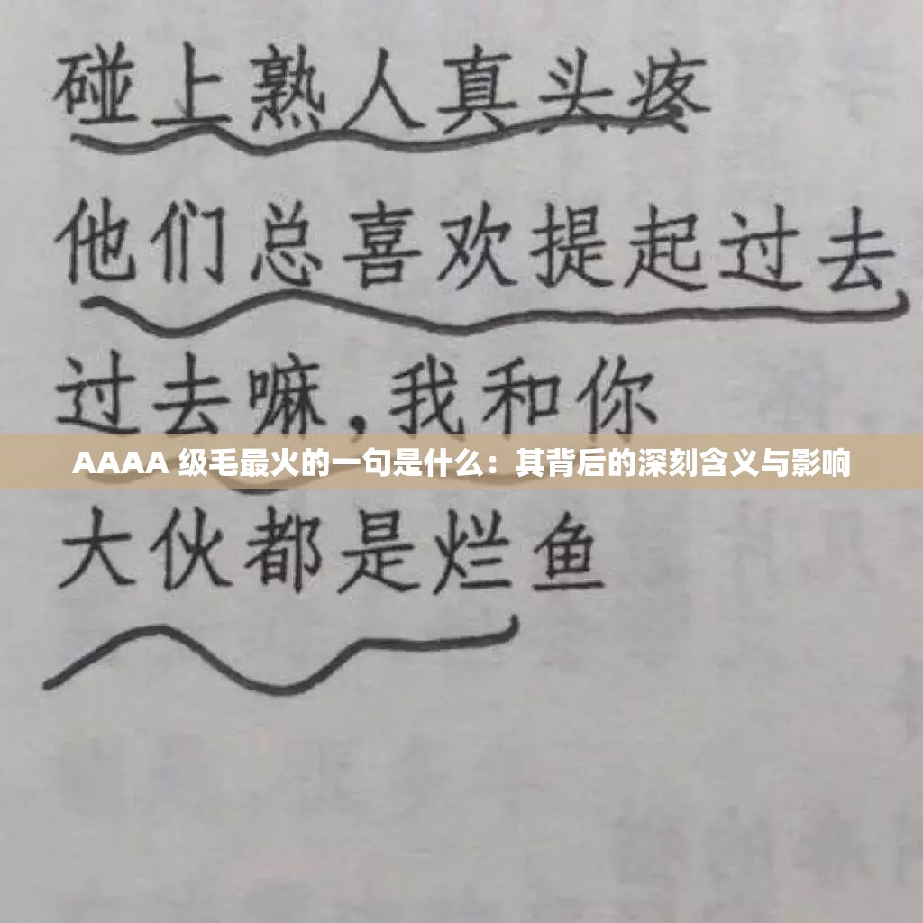 AAAA 級毛最火的一句是什么：其背后的深刻含義與影響