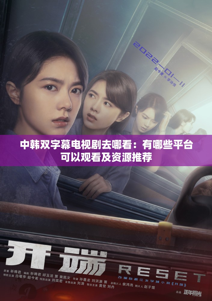中韓雙字幕電視劇去哪看：有哪些平臺可以觀看及資源推薦