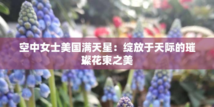 空中女士美國滿天星：綻放于天際的璀璨花束之美