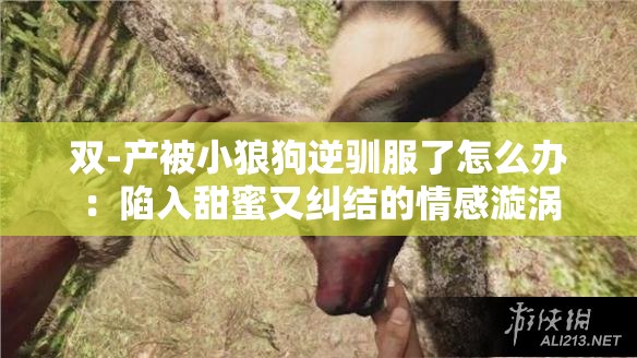 雙-產(chǎn)被小狼狗逆馴服了怎么辦：陷入甜蜜又糾結(jié)的情感漩渦