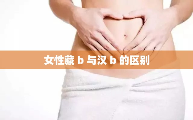 女性藏 b 與漢 b 的區(qū)別