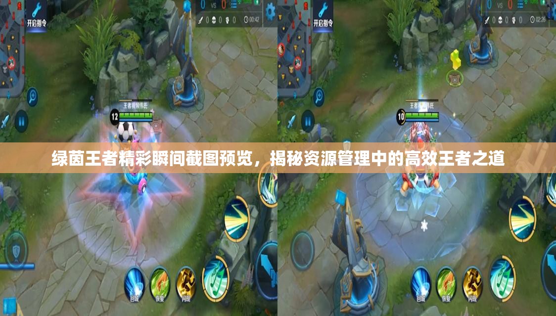 綠茵王者精彩瞬間截圖預(yù)覽，揭秘資源管理中的高效王者之道