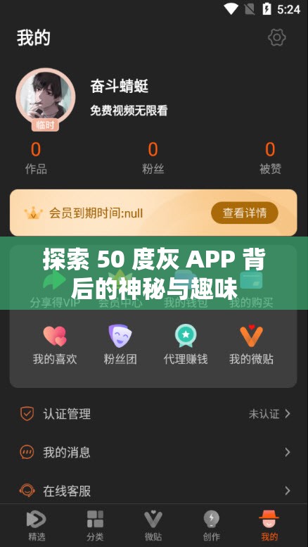 探索 50 度灰 APP 背后的神秘與趣味