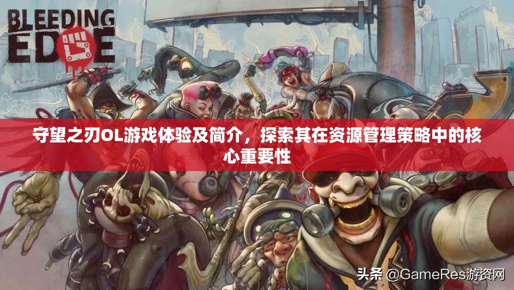 守望之刃OL游戲體驗(yàn)及簡(jiǎn)介，探索其在資源管理策略中的核心重要性