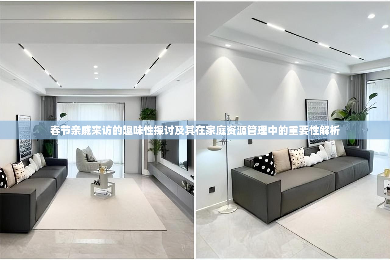春節(jié)親戚來訪的趣味性探討及其在家庭資源管理中的重要性解析