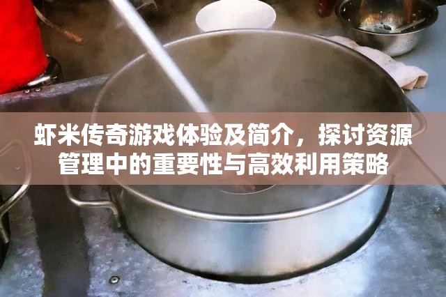 蝦米傳奇游戲體驗及簡介，探討資源管理中的重要性與高效利用策略