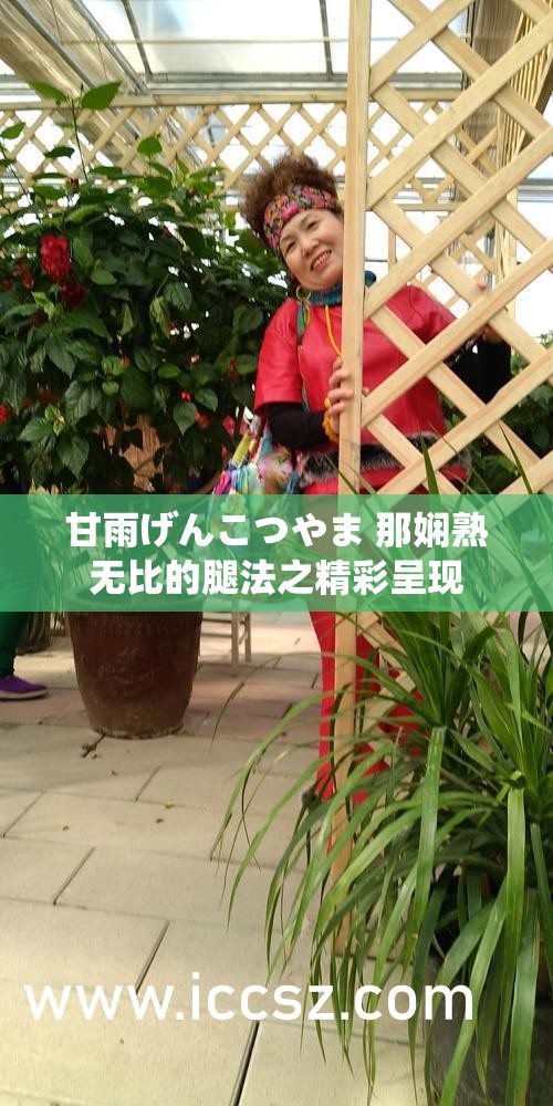 甘雨げんこつやま 那嫻熟無比的腿法之精彩呈現(xiàn)
