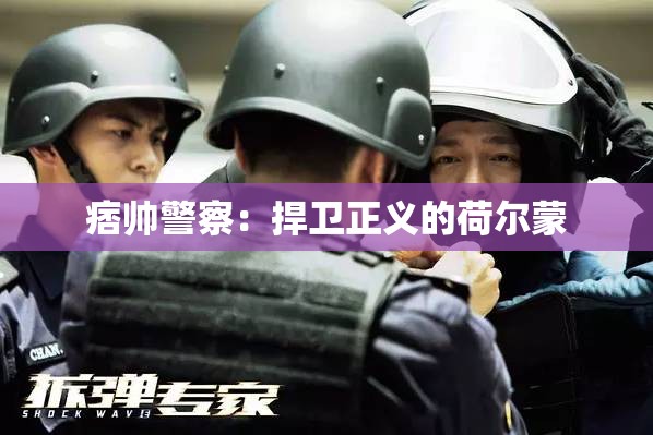 痞帥警察：捍衛(wèi)正義的荷爾蒙