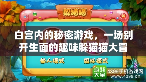 白宮內(nèi)的秘密游戲，一場別開生面的趣味躲貓貓大冒險