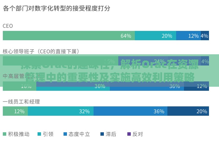 探索Orac的趣味性，解析Orac在資源管理中的重要性及實施高效利用策略