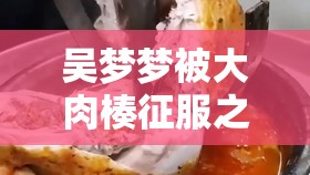 吳夢(mèng)夢(mèng)被大肉楱征服之獨(dú)特經(jīng)歷與感受