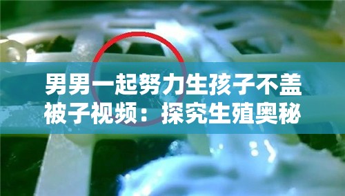 男男一起努力生孩子不蓋被子視頻：探究生殖奧秘的創(chuàng)新之舉