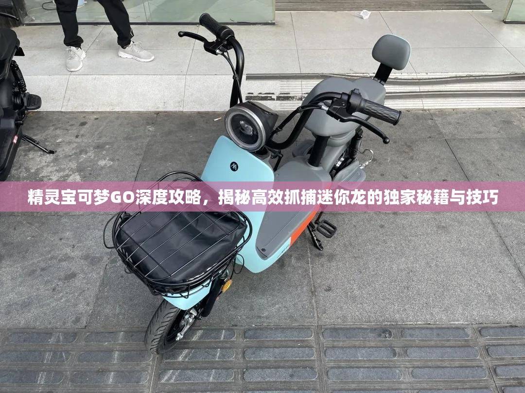 精靈寶可夢GO深度攻略，揭秘高效抓捕迷你龍的獨家秘籍與技巧