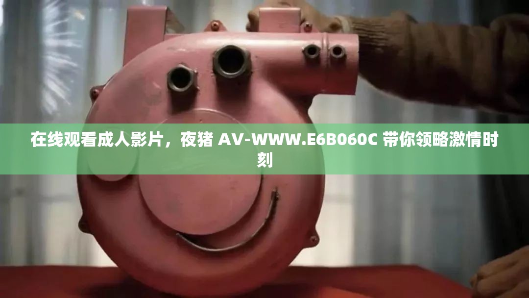 在線觀看成人影片，夜豬 AV-WWW.E6B060C 帶你領(lǐng)略激情時(shí)刻