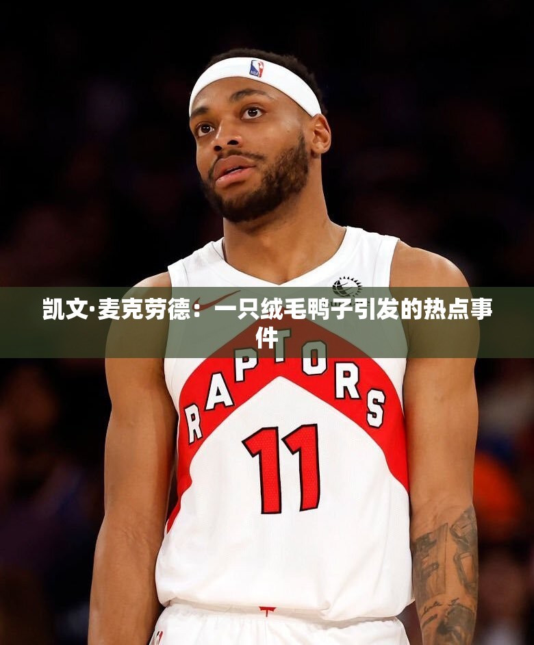 凱文·麥克勞德：一只絨毛鴨子引發(fā)的熱點(diǎn)事件