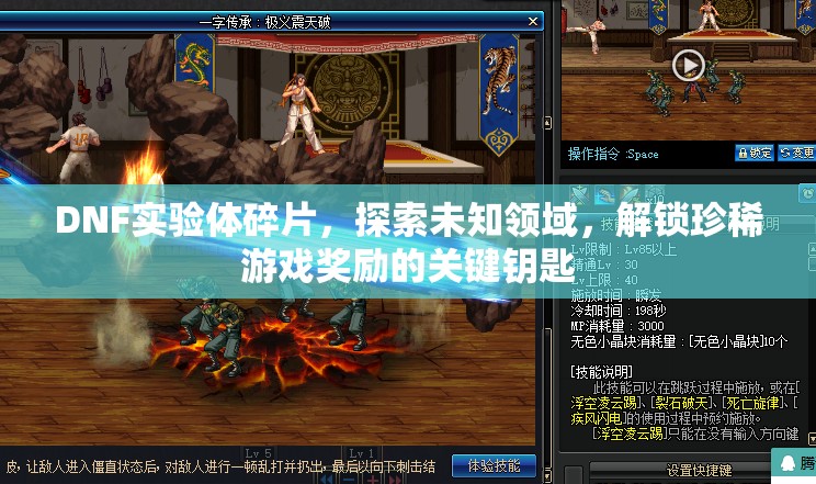 DNF實(shí)驗(yàn)體碎片，探索未知領(lǐng)域，解鎖珍稀游戲獎(jiǎng)勵(lì)的關(guān)鍵鑰匙
