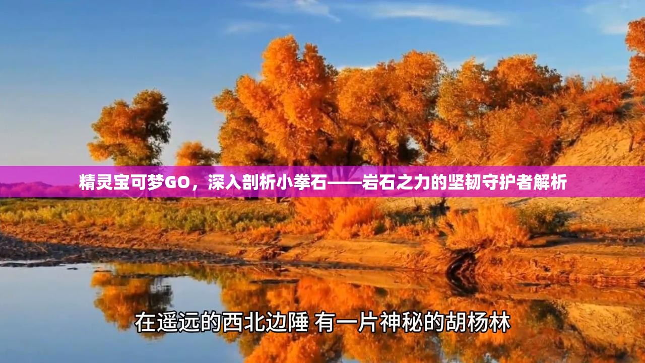 精靈寶可夢GO，深入剖析小拳石——巖石之力的堅(jiān)韌守護(hù)者解析