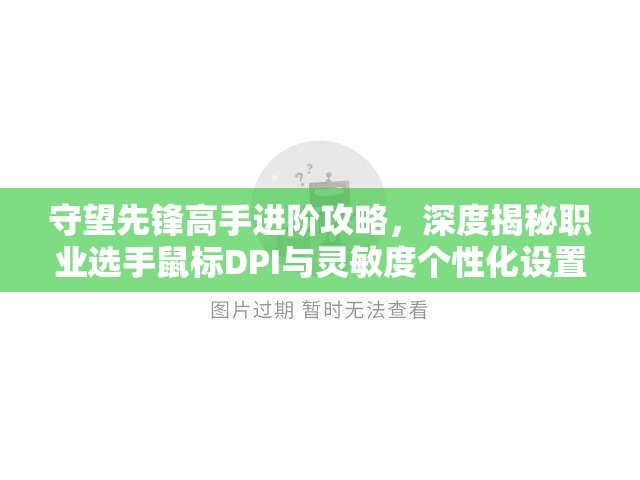 守望先鋒高手進(jìn)階攻略，深度揭秘職業(yè)選手鼠標(biāo)DPI與靈敏度個(gè)性化設(shè)置