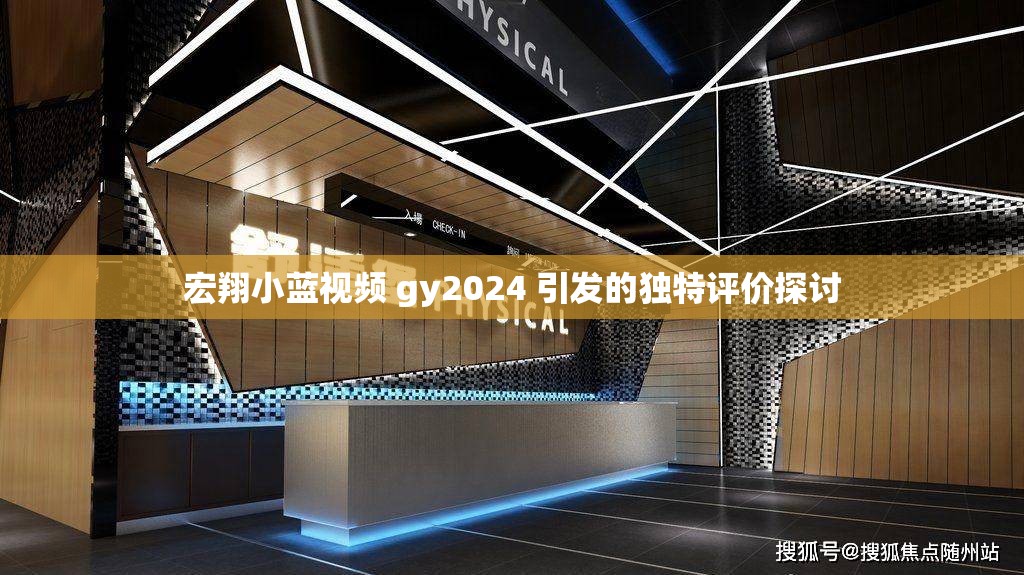 宏翔小藍視頻 gy2024 引發(fā)的獨特評價探討