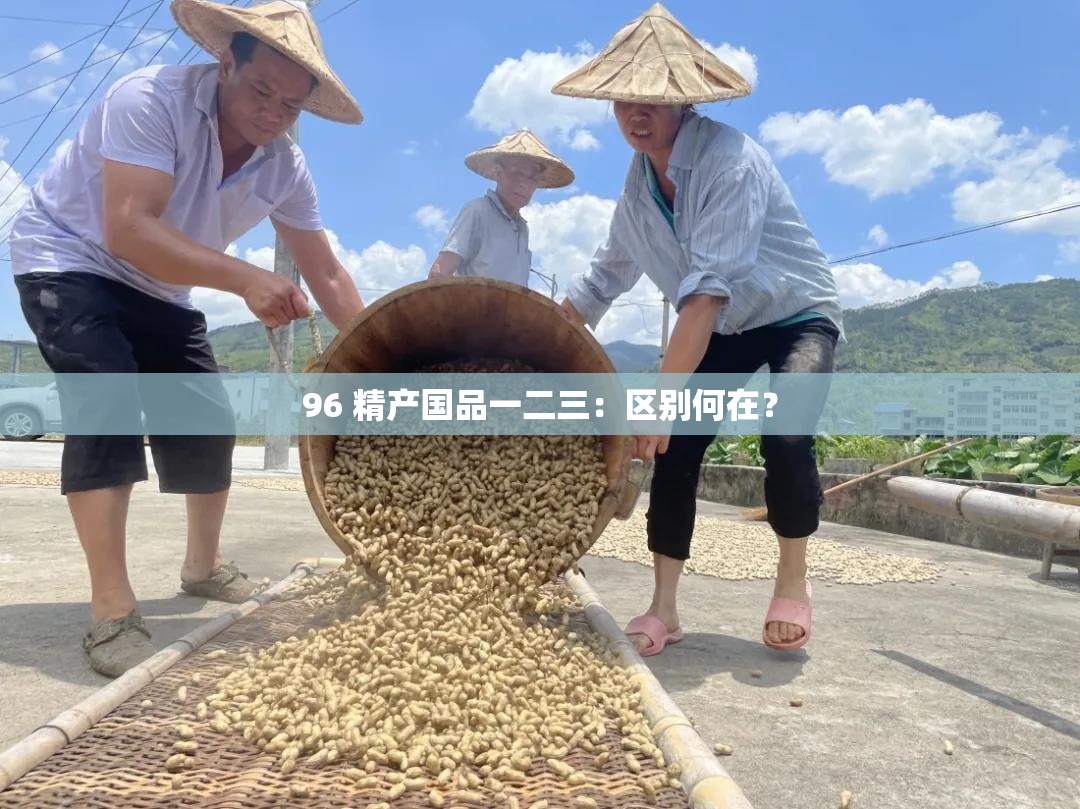 96 精產(chǎn)國(guó)品一二三：區(qū)別何在？