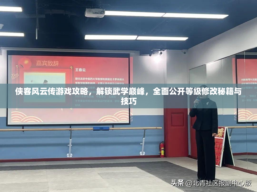 俠客風(fēng)云傳游戲攻略，解鎖武學(xué)巔峰，全面公開(kāi)等級(jí)修改秘籍與技巧
