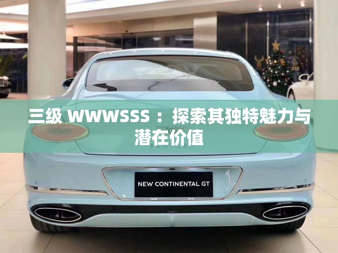 三級 WWWSSS ：探索其獨(dú)特魅力與潛在價值