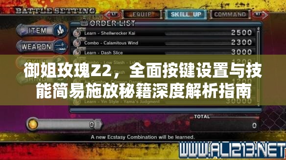 御姐玫瑰Z2，全面按鍵設(shè)置與技能簡易施放秘籍深度解析指南
