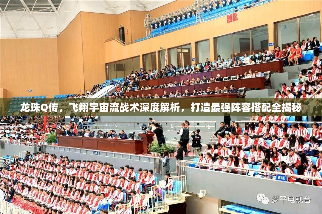 龍珠Q傳，飛翔宇宙流戰(zhàn)術(shù)深度解析，打造最強(qiáng)陣容搭配全揭秘