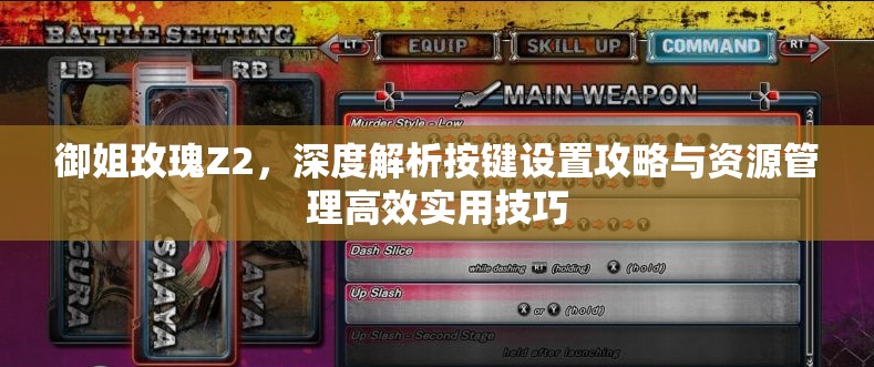 御姐玫瑰Z2，深度解析按鍵設(shè)置攻略與資源管理高效實(shí)用技巧