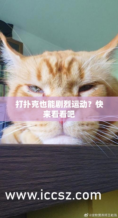 打撲克也能劇烈運(yùn)動(dòng)？快來看看吧