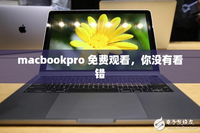 macbookpro 免費觀看，你沒有看錯